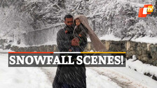 Snowfall In Kashmir Valley 