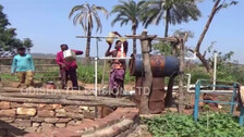 Farmer In Remote Odisha Village Irrigates Farmland Without Electricity, Battery; Know How 