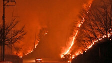 Over 6,000 Evacuated Due To Fast-Spreading Wildfire In S.Korea