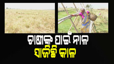 ନାଳ ଉପରେ ପୋଲଟିଏ ନାହିଁ : ପଡିଆ ପଡ଼ିଛି ୨ହଜାର ଏକର ଜମି, ମୁଣ୍ଡରେ ହାତ ଦେଇ ବସିଛନ୍ତି ଚାଷୀ