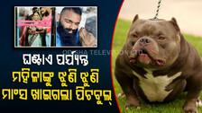 ମା’କୁ କାମୁଡ଼ି ମାରିଦେଲା ପୁଅର ପୋଷା କୁକୁର : ଛାତ ଉପରେ ବୁଲାଇବା ସମୟରେ ଆକ୍ରମଣ କଲା ପିଟ୍‌ବୁଲ୍‌