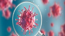 XBB sub-variant of Omicron may cause another Covid-19 wave: WHO Chief Scientist