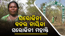 Woman turns barren land 