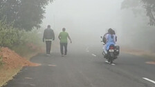 Dense Fog Alert For Odisha Districts