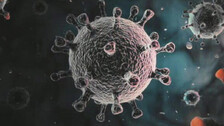 Odisha reports 17 new Covid-19 cases in past 24 hours; no need to panic says top official
