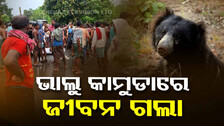 ଭାଲୁ ଆକ୍ରମଣରେ ବାପା ମୃତ, ପୁଅ ଗୁରୁତର