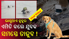 Man Risks Life To Save Dog: ବନ୍ୟାପାଣିରେ ଭାସୁଥାଏ କୁକୁର, ଜୀବନକୁ ଖାତିର୍ ନକରି ଡେଇଁପଡିଲେ ଯୁବକ...