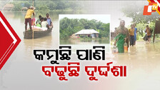 Villagers Left Stranded:  କମୁଛି ସୁବର୍ଣ୍ଣରେଖା ପାଣି, ଥମୁନି ବନ୍ୟା ପୀଡ଼ିତଙ୍କ ଦୁଃଖ...