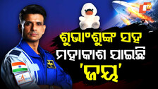 କୁନି ମହାକାଶଚାରୀ