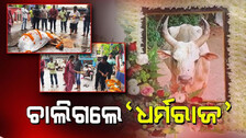 Dharmaraj Died: ଚାଲିଗଲେ ‘ଧର୍ମରାଜ’...ବର୍ଷାରେ ଭିଜି ଭିଜି ଅନ୍ତ୍ୟେଷ୍ଟିକ୍ରିୟା ସାରିଲେ କଲୋନୀ ବାସିନ୍ଦା