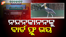 Bird Flu Scare at Nandankanan