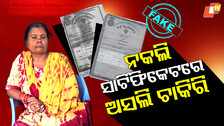 Fake BEd Certificates