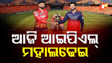 IPL Final 2025: ଆଜି ଆଇପିଏଲ୍ ମହାସମର; ମୁହାଁମୁହିଁ ହେବେ ବେଙ୍ଗାଲୁରୁ ଓ ପଞ୍ଜାବ