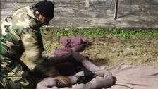 Three Pak Narcotic Smugglers Shot Dead Along International Border In JK's Samba