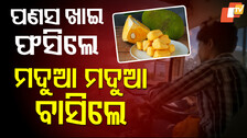 Jackfruit