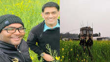 MS Dhoni