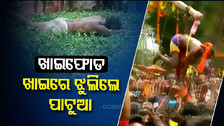 ମାନସିକଧାରୀଙ୍କ ଅଜବ ନୀତି ! ପିଠିରେ ଲୁହା କଣ୍ଟା ଫୋଡ଼ି ଝୁଲୁଛନ୍ତି, ତଳେ କଣ୍ଟାରେ ଗଡ଼ୁଛନ୍ତି