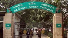 Maintain Status Quo Of Ekamra Kanan Land: NGT Directs Odisha Govt