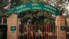 NGT pulls up Odisha govt, slaps Rs 10,000 penalty for delay in filing report on illegal mining