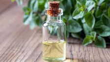 Natural-Mosquito-Repellent