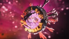 UK, South Africa COVID-19 Variants Are More Infectious & Deadly! Know Why