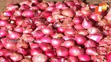 Onion Prices In Odisha Hit The Roof Due To Rain In Nashik