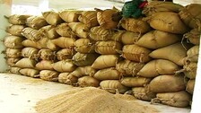 Paddy Procurement