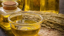Rice-Bran-Oil