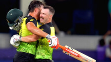 T20 World Cup: Stoinis, Wade Heroics Lead Australia To Final