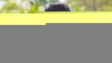 Sunil Grover