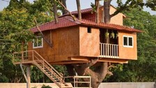 Tree-Top-House-in-Odisha