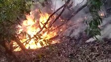 Odisha: Wildfires Continue To Rage Across State, Forest Officials On Toes