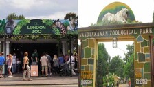 Zoo