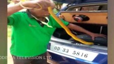 Snake found inside car in Bhubaneswar