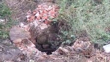 abandoned-well-dead-body