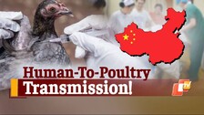 China Reports World’s First Poultry-To-Human Transmission Case of H10N3 Bird Flu