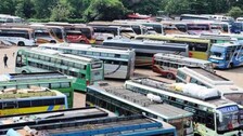 buses-up