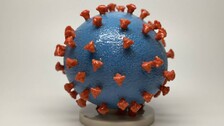 coronavirus