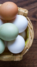 Egg Basket