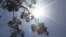 Heatwave continues in Odisha