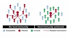 herd-immunity