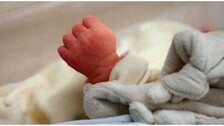 newborn
