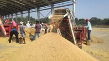 only 20% farmers avail MSP in Odisha