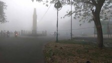 paradip-fog