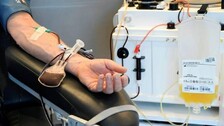 Plasma Treatment Has No Benefit On COVID Patients: Study