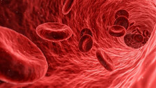 6 crore people screened for sickle cell disease: Health ministry