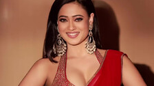 At 43, Shweta Tiwari Rocks In Red Saree In Viral Photoshoot 