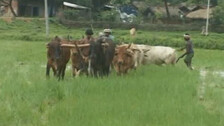 Over 34.98 lakh farmers from Odisha benefit from PM-KISAN scheme