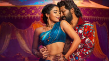 Allu Arjun faces criticism as Pushpa 2's new song 'bold' lyrics create social media storm