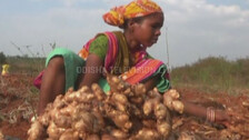 PM Fasal Bima Yojana